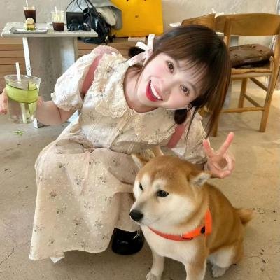 人气剧集